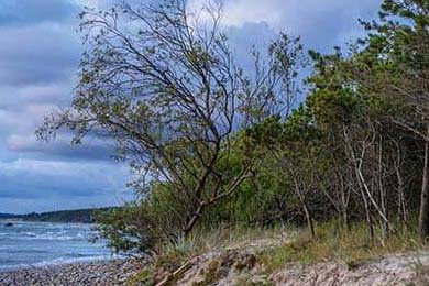 美国反曲弓男队在世界射箭锦标赛中夺冠，男子反曲弓世界排名