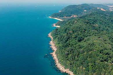 安徽鲨鱼客场负于广东勇士队，战绩有所下滑，安徽鲨鱼科技有限公司